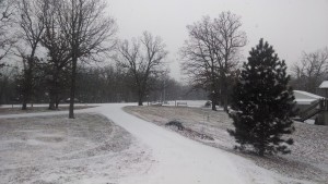Snowy Street View